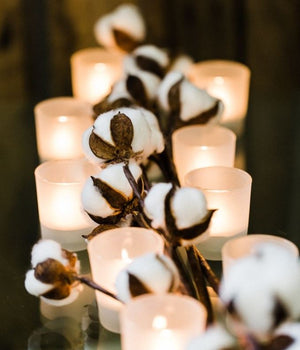 2 of 8: Eastland Grande Votive Candle Holder Frosted Set of 144