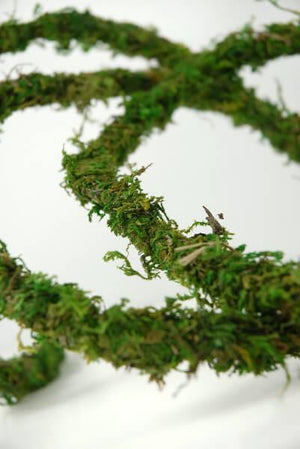 1 of 2: moss vine preserved 12ft