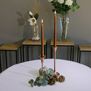 2 of 2: Richland Taper Candles 10" Brown Set of 10