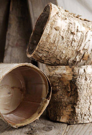 3 of 4: birch bark planter 4 75 pot w plastic liner