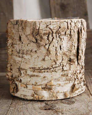 1 of 4: Birch Bark Planter 4.75" Pot w/ Plastic Liner