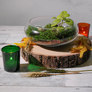2 of 2: Eastland Votive Holder Green Set of 72