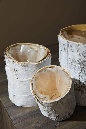 3 of 4: Whitewashed Birch Bark Vase 4.75x6