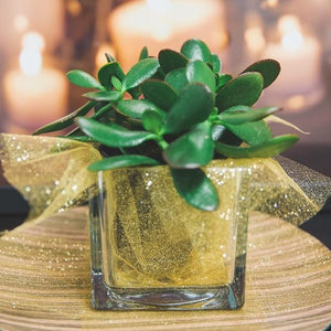 3 of 3: Richland Square Glass Cube Vase 4" Set of 12
