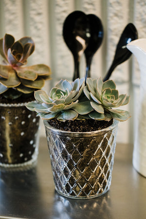 5 of 5: Richland Tipper Vase & Candle Holder Set of 12