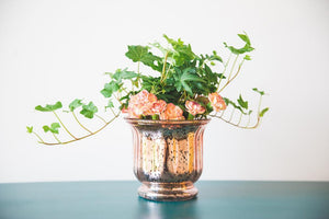 2 of 2: Richland Mercury Venus Jar Rose Gold
