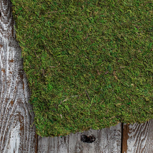 1 of 4: Preserved Moss Sheeting Runner 14" x 48"