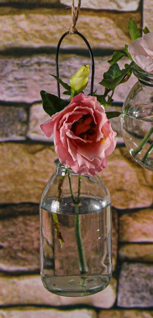 3 of 5: Richland Vintage Bottle Hanging Glass Vase Set of 12