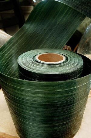 1 of 3: variegated aspidistra ti leaf floral ribbon 4in x 50 yards