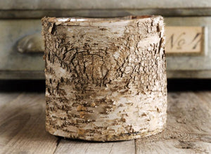 3 of 5: Birch Bark Covered 6" Planters Pot w/Liner