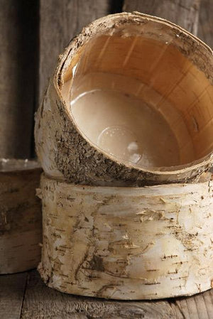 1 of 3: Birch Bark Planter Pot 6.5x 3.5 Inch