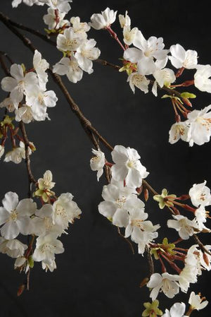 2 of 3: Cherry Blossom Branch 42in White Flowers