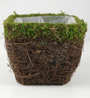 1 of 3: moss and wicker square pot 5in