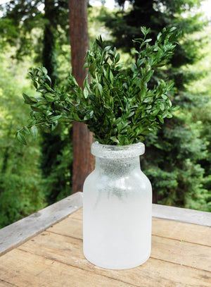 3 of 4: Preserved Boxwood Bundle in Natural Green 5oz.