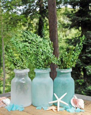 2 of 4: preserved boxwood bundle in natural green 5oz