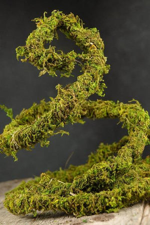1 of 2: Preserved Moss Vine 6ft
