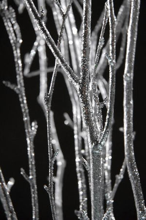 3 of 3: silver birch tree branches 3 4 ft 4 branches