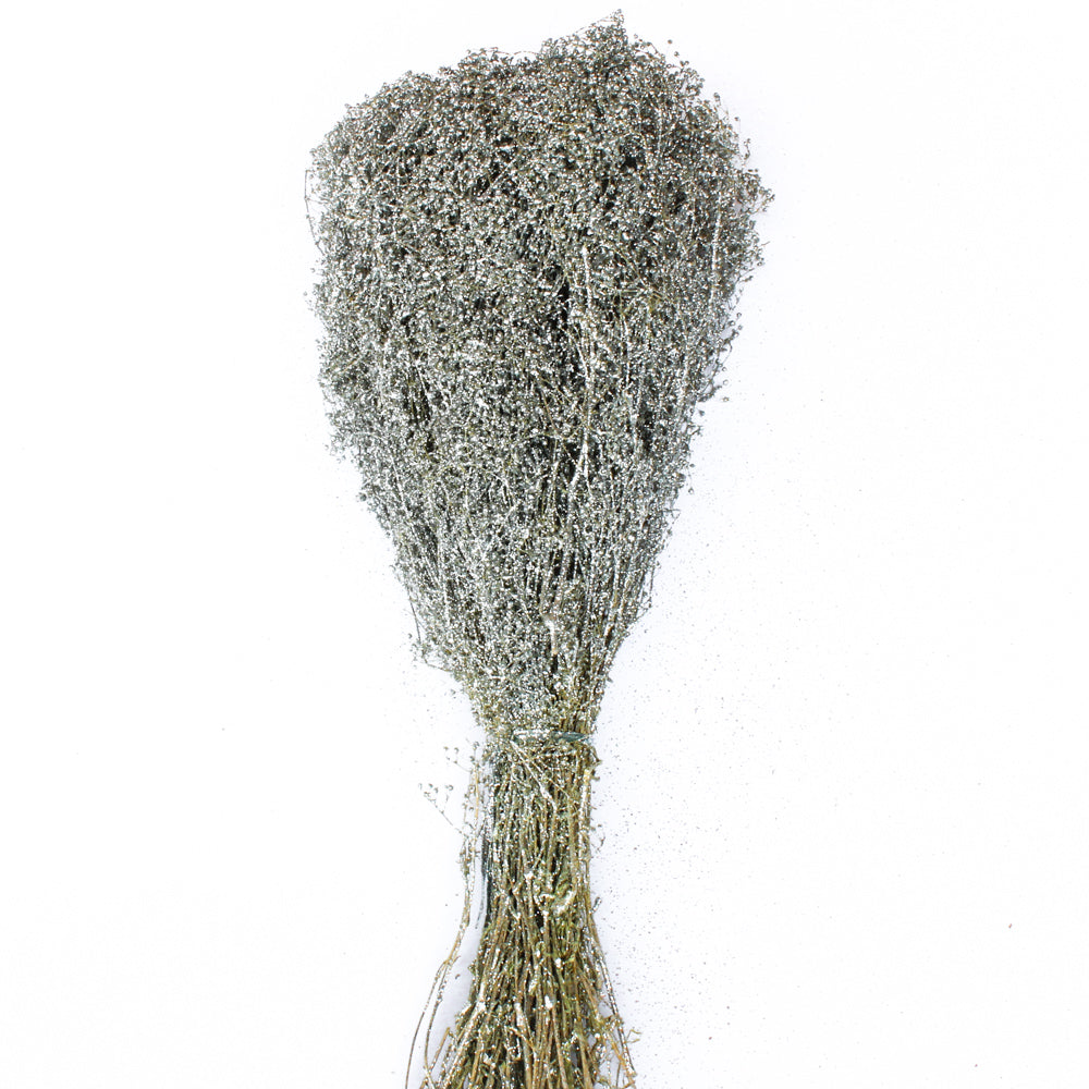 Silver Baby Breath| 
