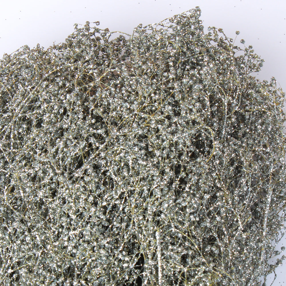 Silver Baby Breath| 