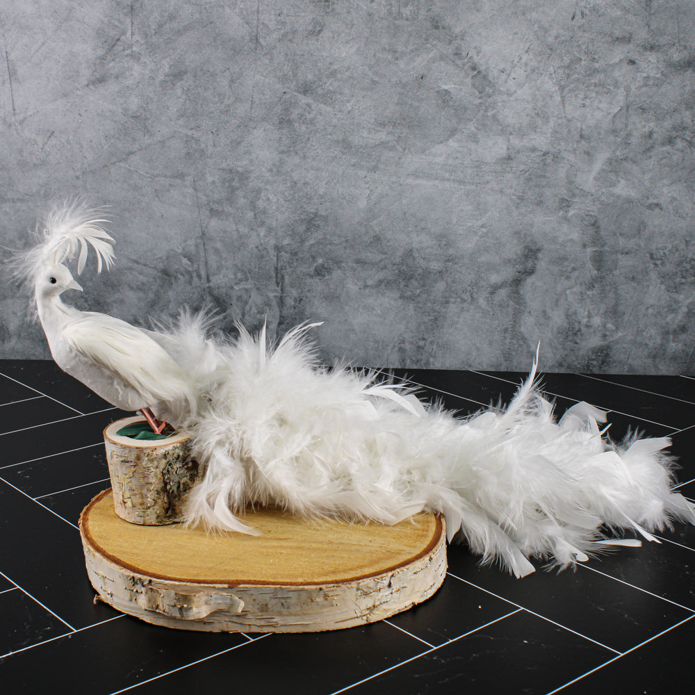 White Feathered Peacocks 17in - view 3