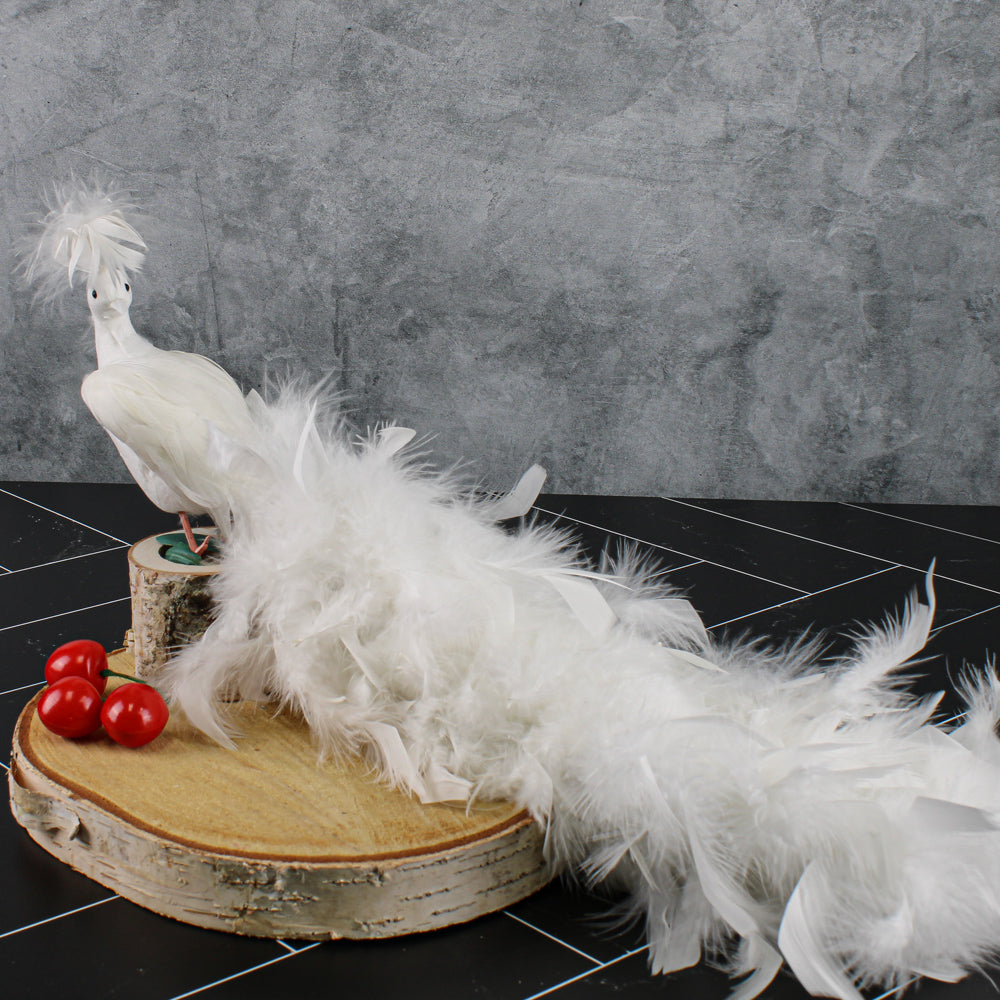 White Feathered Peacocks 17in| 