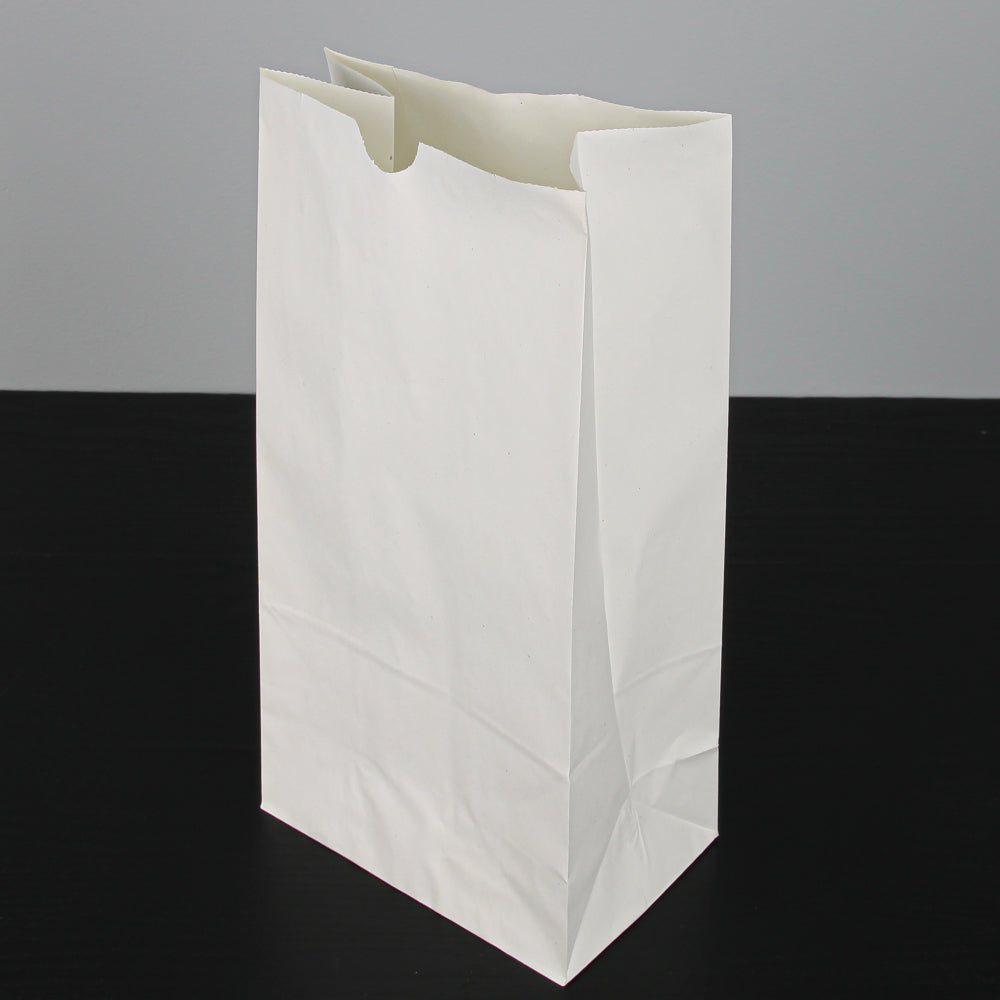Eastland White Luminary Bags Only Set of 100