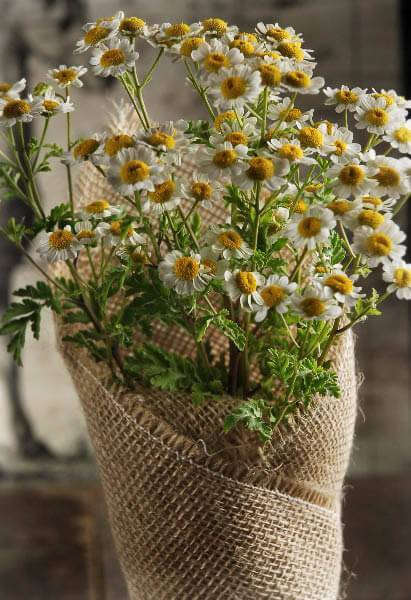 12 Rustic Burlap Pot Gift Wrap - 20 x 20 - view 4