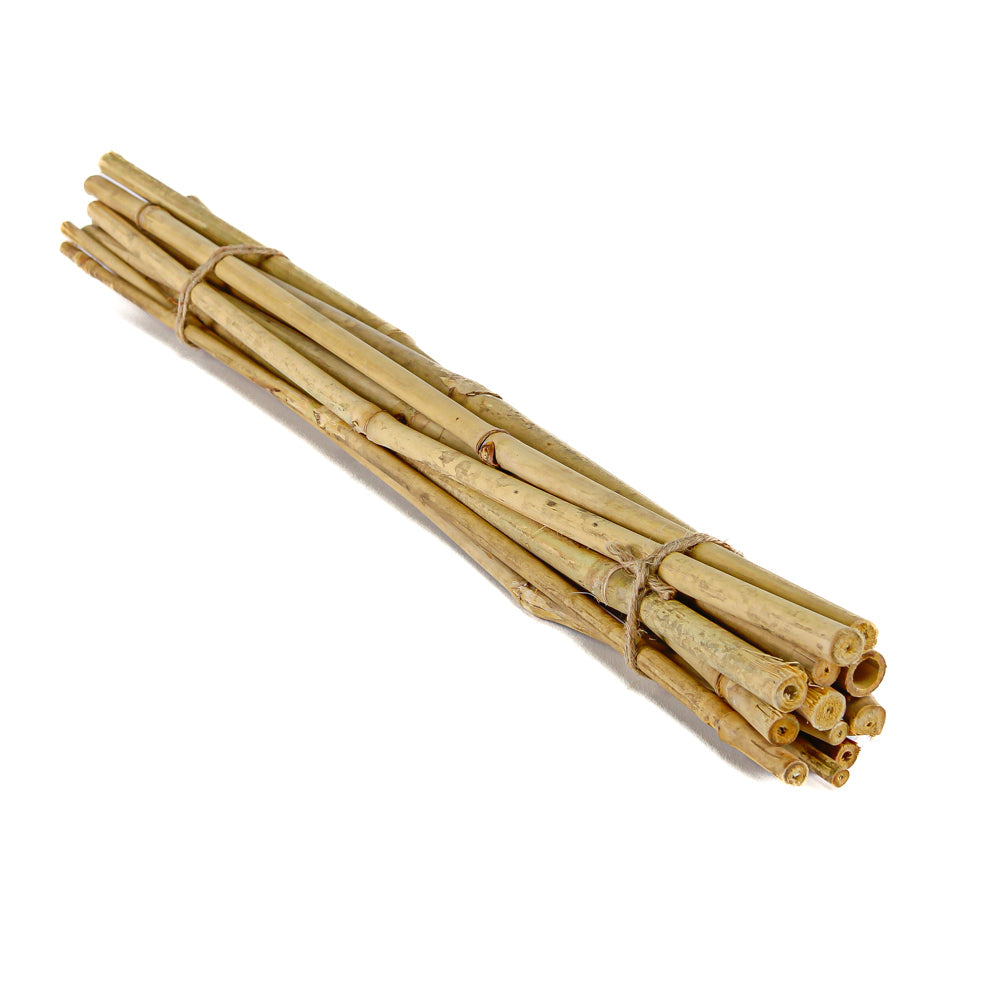 Bamboo Poles 24in Natural (bundle of 12)| 4009990...