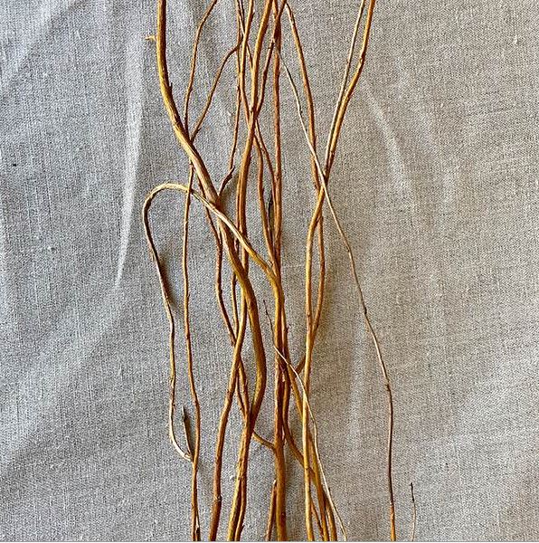 Curly Willow Tree Branch Bundle, 3-4 Feet| 4009990...