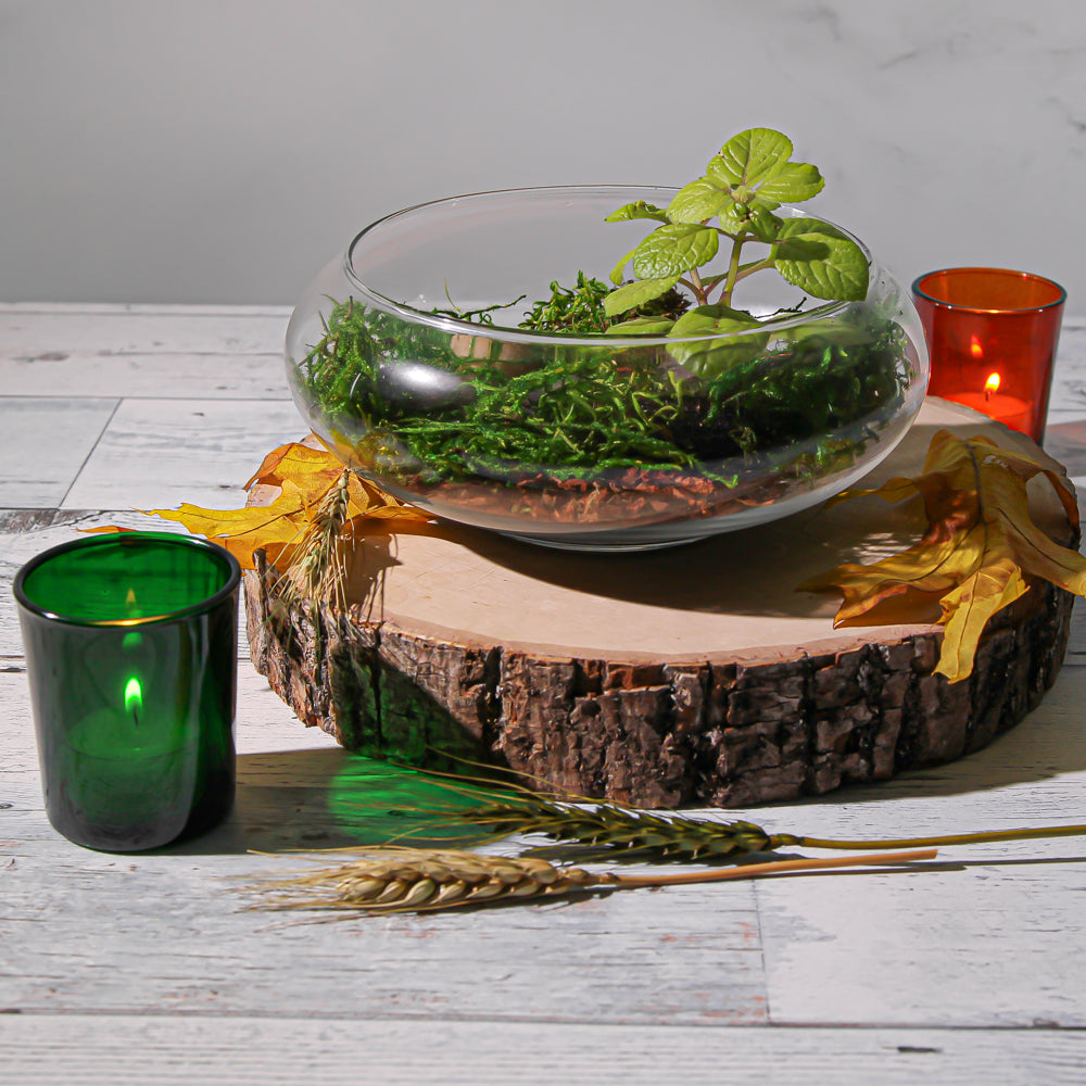 Eastland Votive Holder Green Set of 72| 1240_72