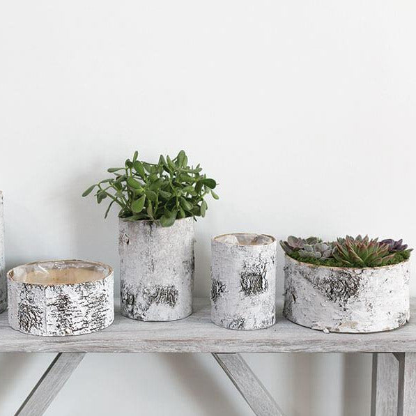 Whitewashed Birch Bark Bowl Vase 10x4.7 - view 2