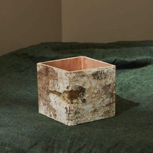 Birch Bark Square Pot w/Liner 4.5x5