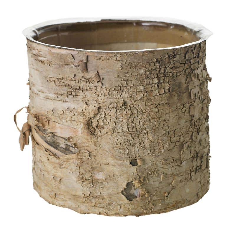 bark planter pot Birch Bark Planter Pot 7x6 w/Liner
