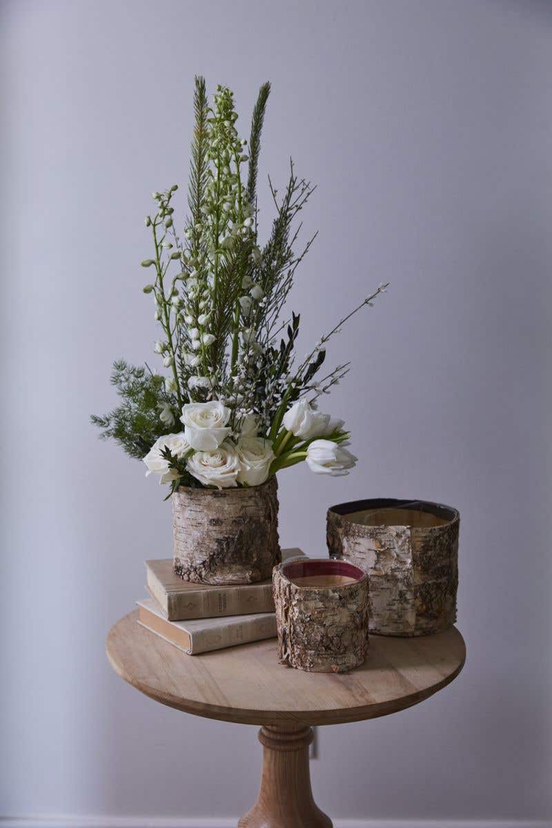 bark planter pot Birch Bark Planter Pot 7x6 w/Liner