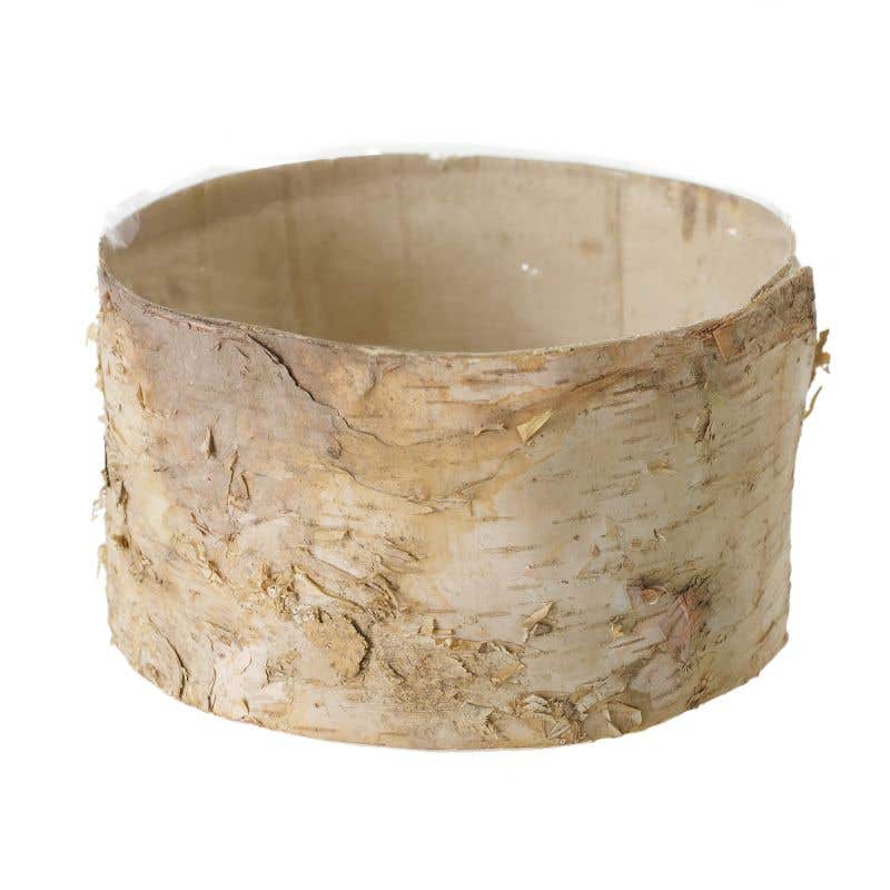 Birch Bark Planter Pot 6.5x3.5 w/Liner - view 2