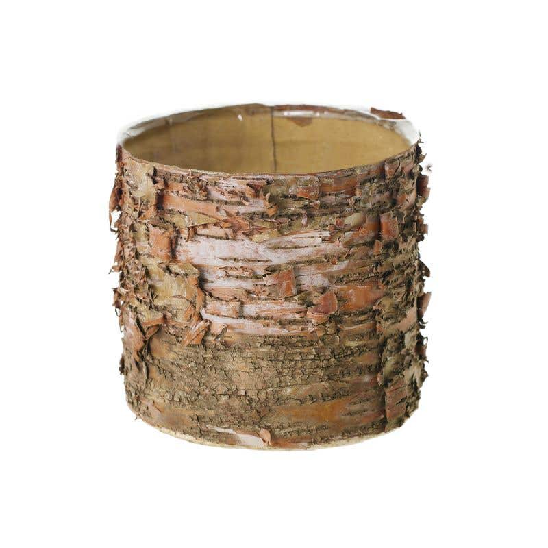 bark planter pot Birch Bark Planter Pot 6x5.25 w/Liner