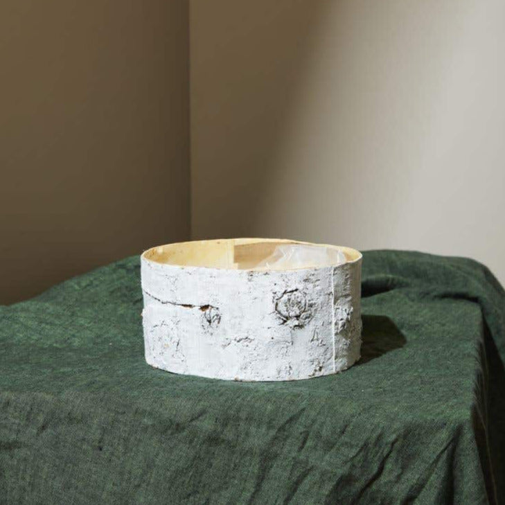 Whitewashed Birch Bark Bowl Vase 10x4.7 - view 3