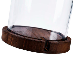 16" Glass Cloche with Wood Base