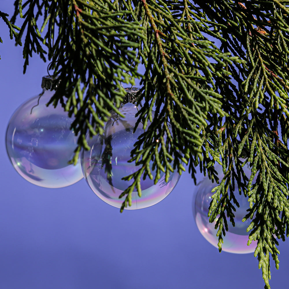 Richland Glass Ornaments 2.5” Set of 24| 