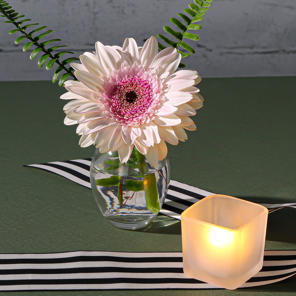 eastland square votive candle holder frosted set of 12| 1151_12