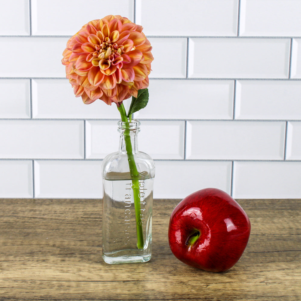richland effie bud vase set of 48| 91075_48