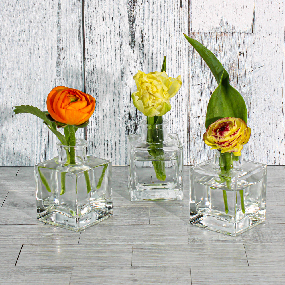 Richland Glass Bud Vase Square| 