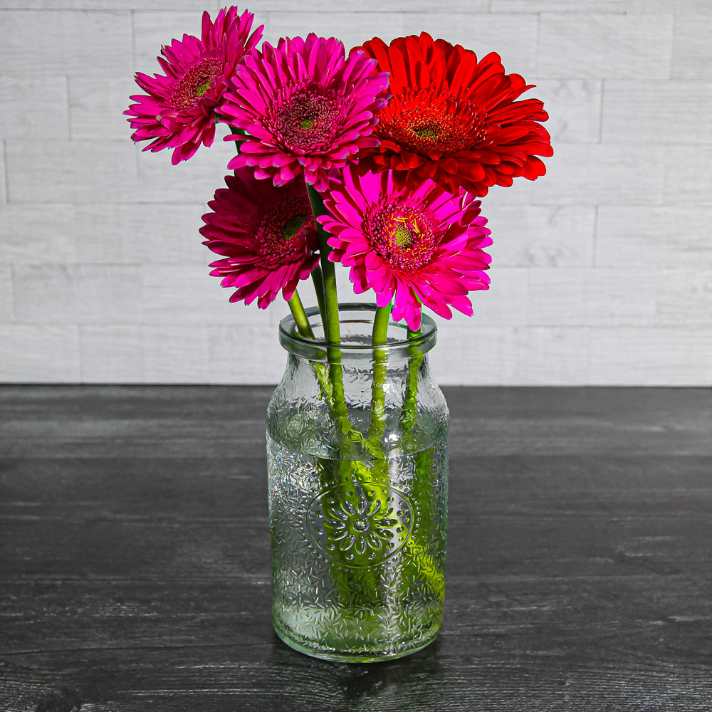 Richland Hickory Farmhouse Jar 7" Set of 24| 