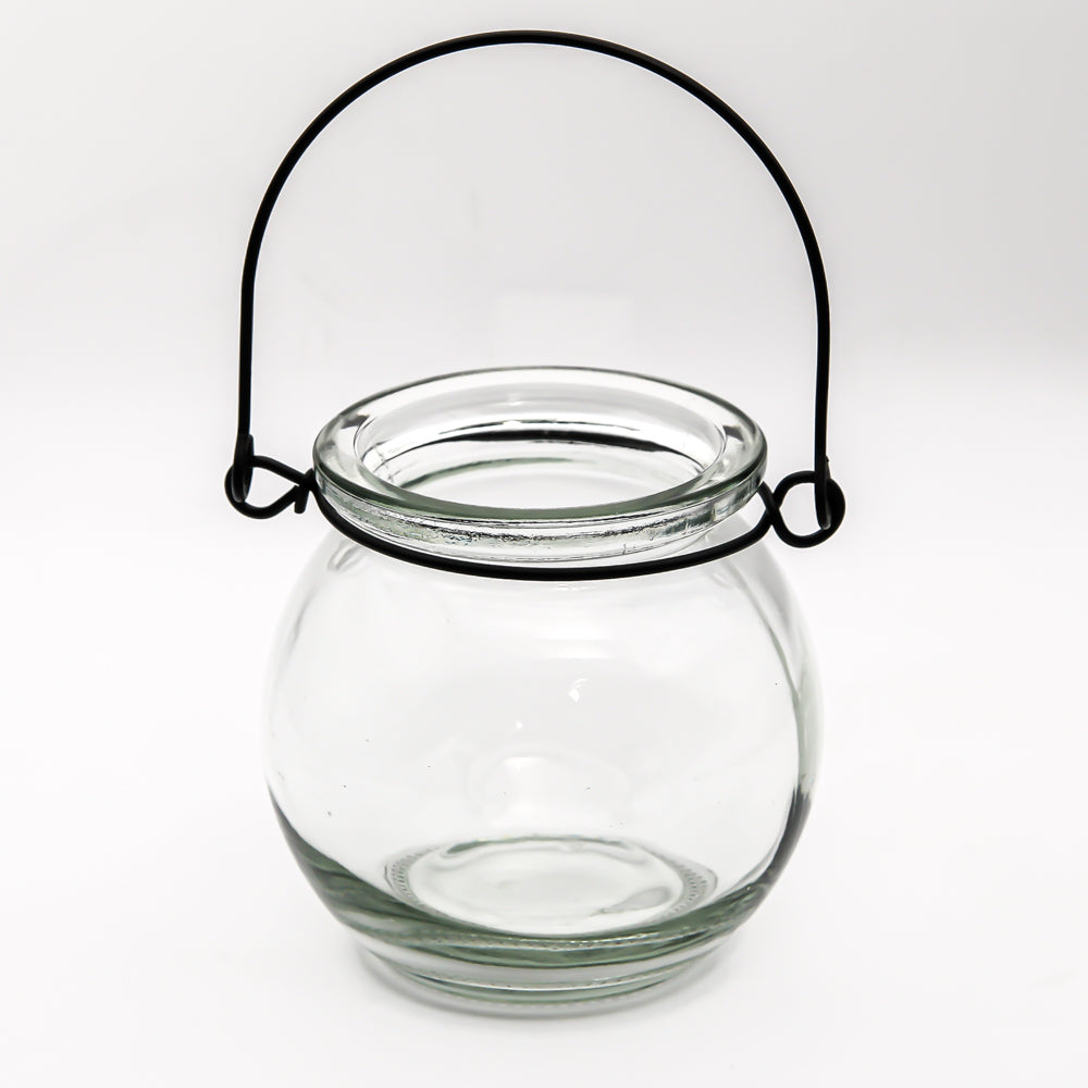 Richland Bubble Hanging Glass Vase| 