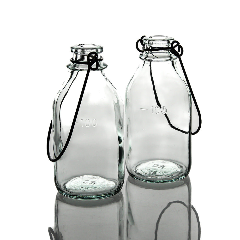 Richland Vintage Bottle Hanging Glass Vase Set of 12| 9642_12