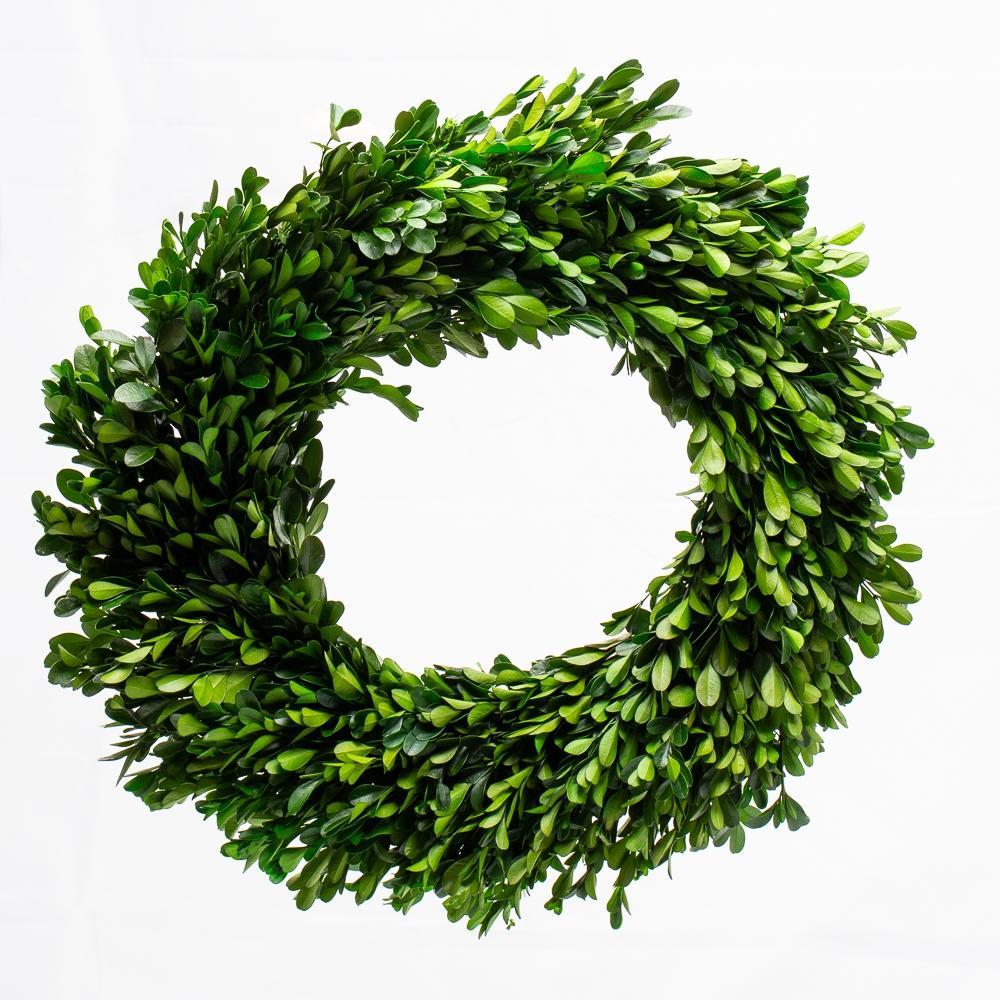richland preserved boxwood wreath 17 set of 6| 