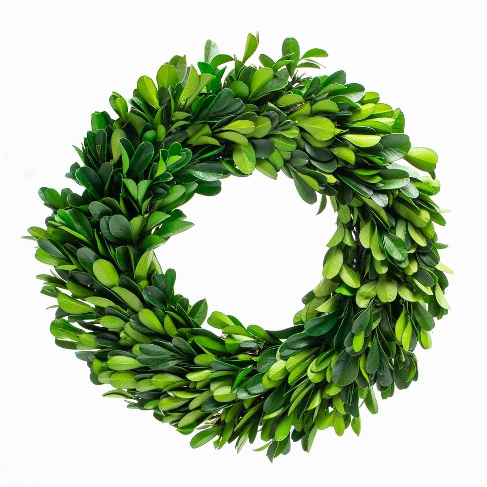 richland preserved boxwood wreath 8 set of 12| 91046_12