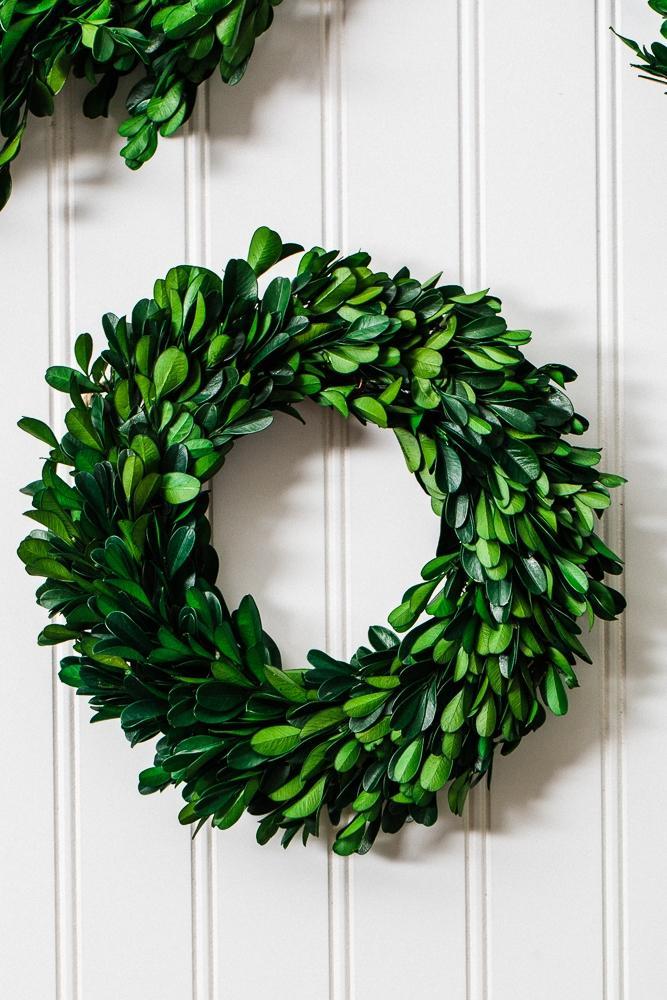 richland preserved boxwood wreath 8 set of 12 - view 3