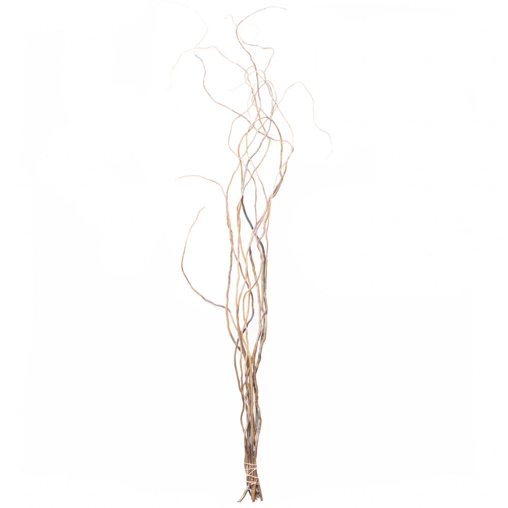Curly Willow Tree Branch Bundle, 3-4 Feet - view 3