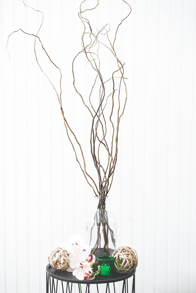 Curly Willow Tree Branch Bundle, 3-4 Feet| 4009990...